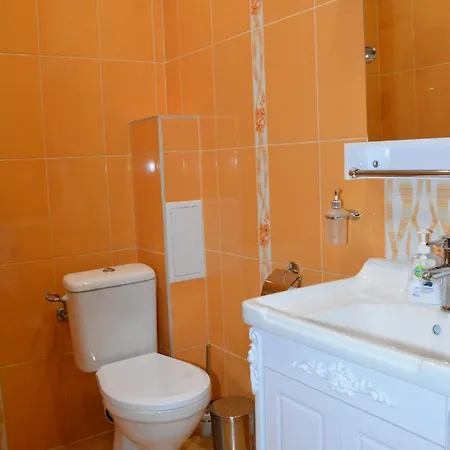 Mimosa בית הארחה בלצ'יק