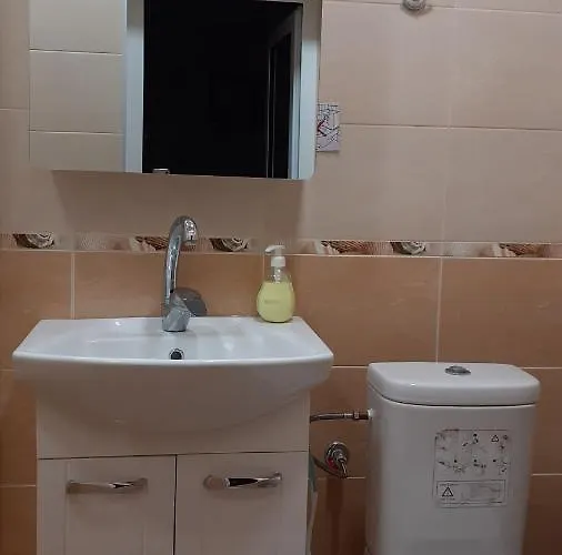 Πανσιόν Mimosa Μπαλτσίκ