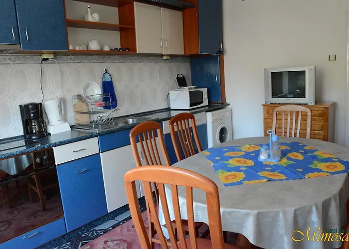 Πανσιόν Mimosa Μπαλτσίκ