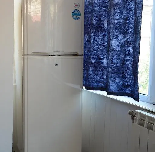 Πανσιόν Mimosa Μπαλτσίκ